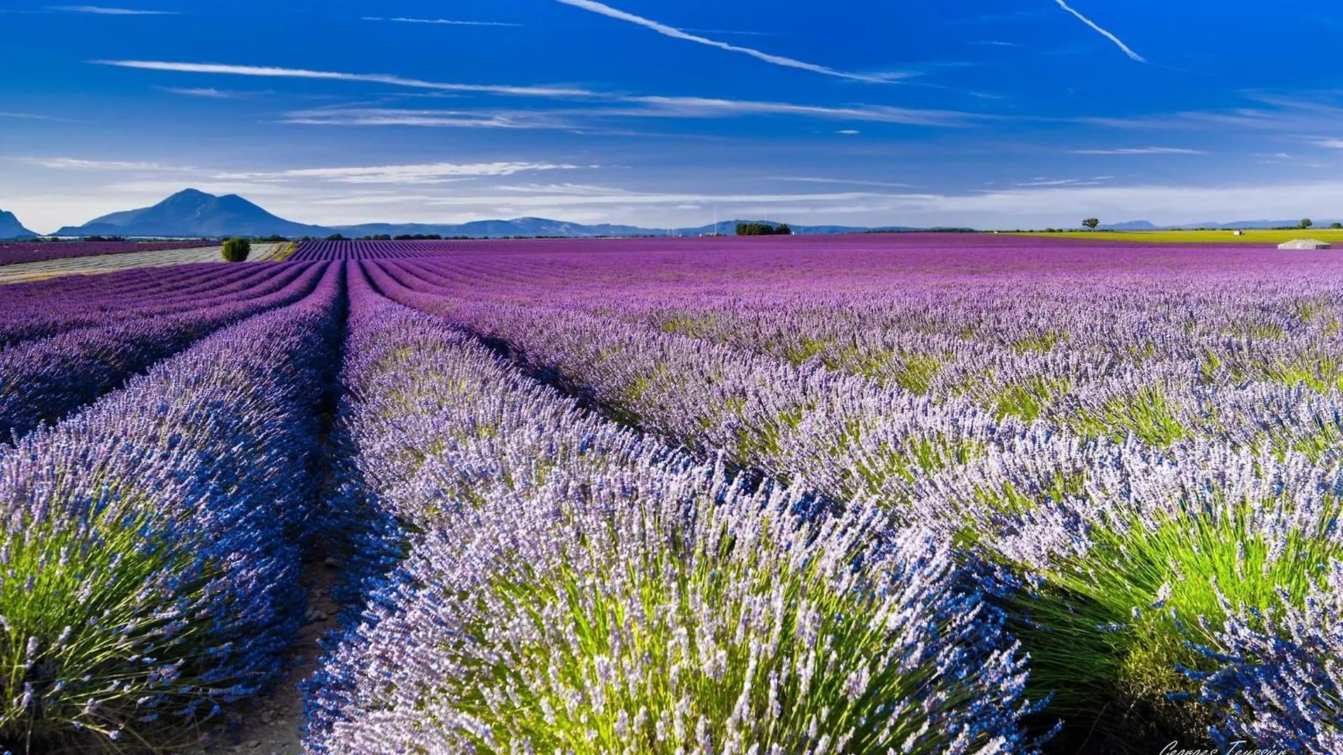 Coquelicot Bed & Breakfast Montagnac